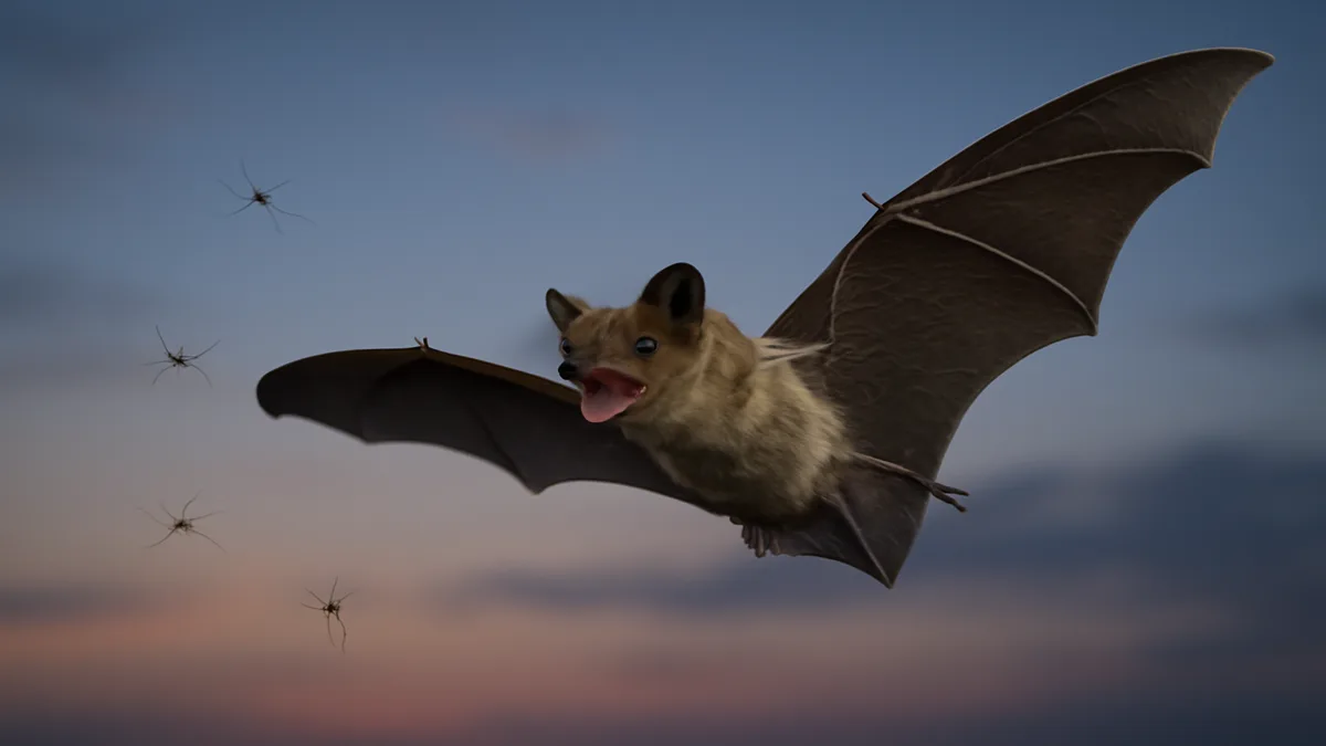 Bat house construction detail