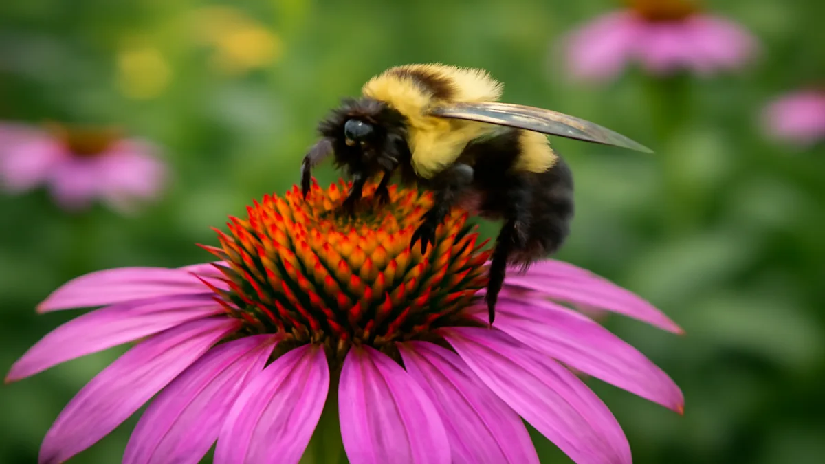 Bee-friendly flowers