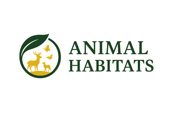 Animal Habitats