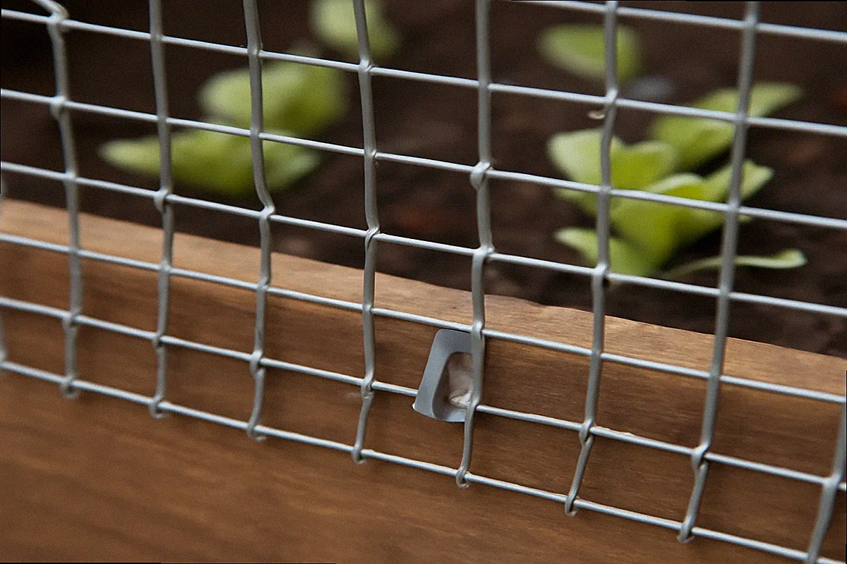 Galvanized half-inch hardware cloth stapled inside a wooden raised garden bed with lettuce seedlings